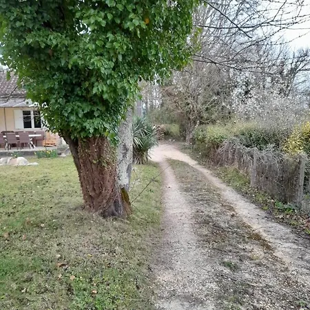 Maison Dans Ecrin De Verdure En Perigord Noir * Saint-Cyprien (Dordogne)